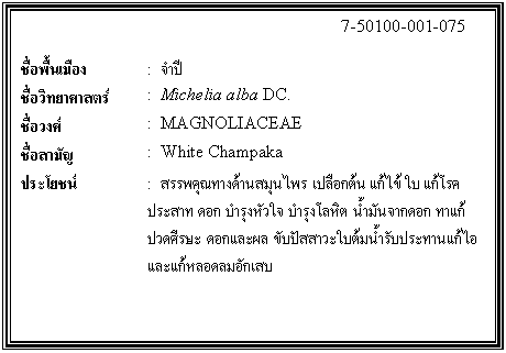 กล่องข้อความ: 7-50100-001-075 ชื่อพื้นเมือง : จำปี ชื่อวิทยาศาสตร์ : Michelia alba DC. ชื่อวงศ์ : MAGNOLIACEAE ชื่อสามัญ : White Champaka ประโยชน์ : สรรพคุณทางด้านสมุนไพร เปลือกต้น แก้ไข้ ใบ แก้โรคประสาท ดอก บำรุงหัวใจ บำรุงโลหิต น้ำมันจากดอก ทาแก้ปวดศีรษะ ดอกและผล ขับปัสสาวะใบต้มน้ำรับประทานแก้ไอและแก้หลอดลมอักเสบ